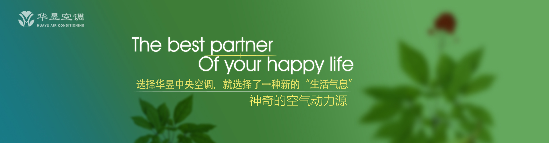恬淡无欲网